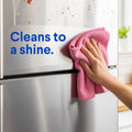 Clorox Bleach-Free All Purpose Cleaner Spray