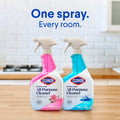 Clorox Bleach-Free All Purpose Cleaner Spray