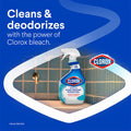 Clorox Bleach Gel Cleaner