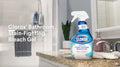 Clorox Bleach Gel Cleaner