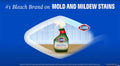 Clorox Clean-Up Cleaner + Bleach Spray & Mold Remover