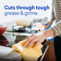 Clorox Clean-Up Cleaner + Bleach Spray & Mold Remover