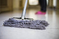 Clorox Disinfecting Wet Mopping Cloths