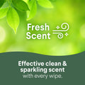 Clorox Disinfecting Cleaning Wipes To Go - 9 count