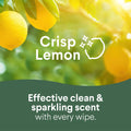 Clorox Disinfecting Cleaning Wipes₁