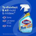 Clorox Plus Tilex Mold & Mildew Remover