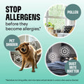 Clorox PURE Allergen Neutralizer Daily Air Spray