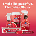 Clorox Scentiva Disinfecting Mist