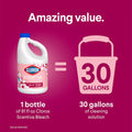 Clorox Scentiva Scented Bleach