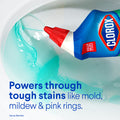 Clorox Toilet Bowl Cleaner – with Bleach