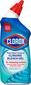 Clorox Toilet Bowl Cleaner – with Bleach