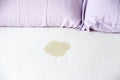 Clorox Urine Remover Spray