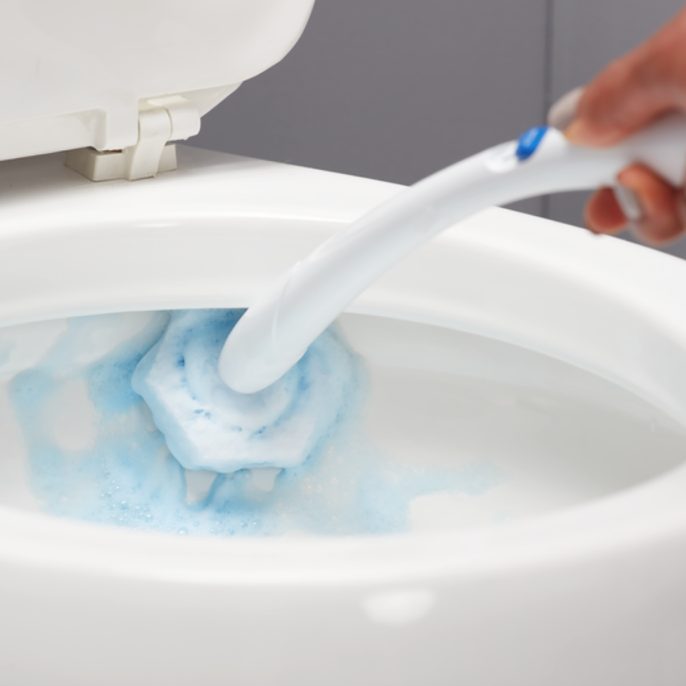Clorox ToiletWand