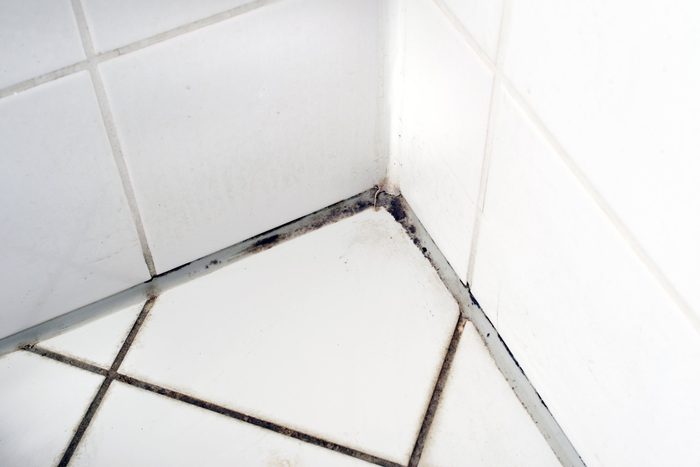 Remove mold from your shower